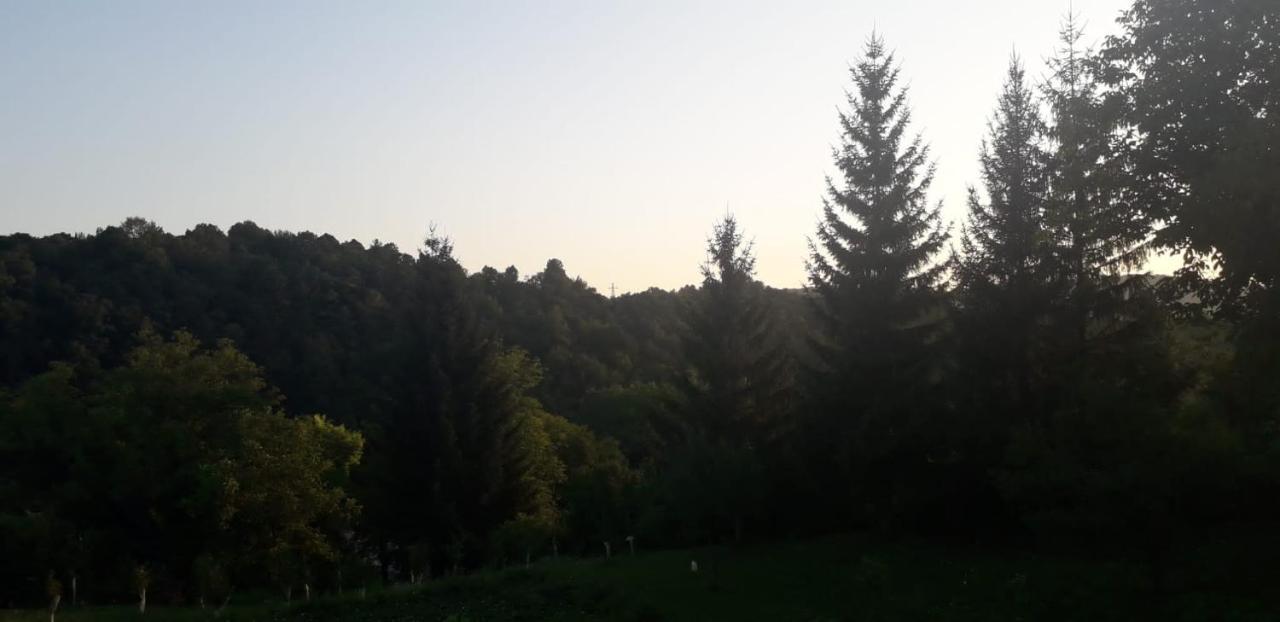 House Narta - Rastoke Slunj Exterior foto